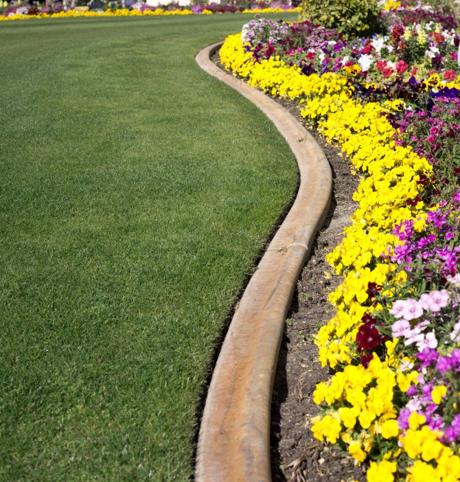 Formal flower garden with curved concrete edging.JPG Angie's List